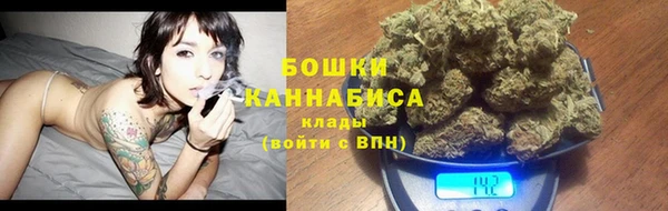 не бодяженный Новозыбков
