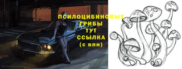 ГАЛЛЮЦИНОГЕННЫЕ ГРИБЫ Аркадак