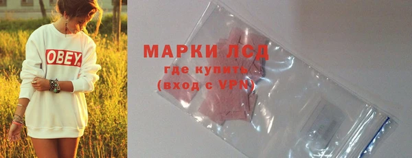 ГАЛЛЮЦИНОГЕННЫЕ ГРИБЫ Аркадак