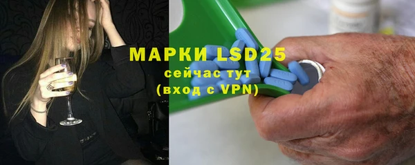ГАЛЛЮЦИНОГЕННЫЕ ГРИБЫ Аркадак