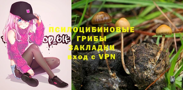 дурь Новодвинск