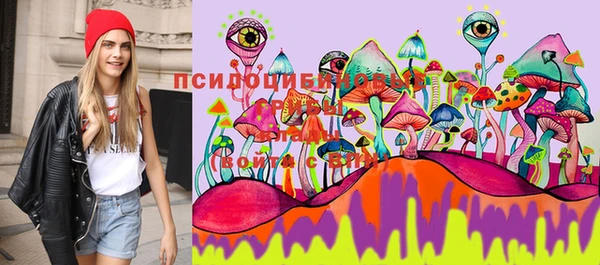 спайс Армянск