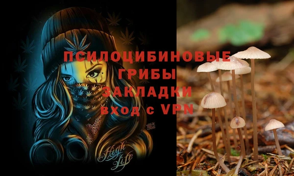 спайс Армянск