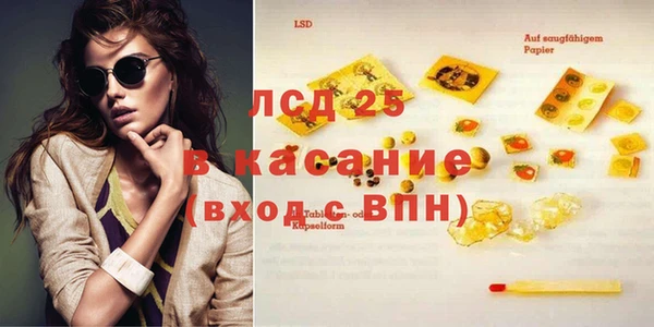 ГАЛЛЮЦИНОГЕННЫЕ ГРИБЫ Аркадак